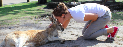 kissing animals as always.