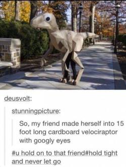 lolfactory:  cardboard velociraptor with