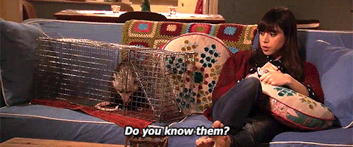Welcome to Pawnee