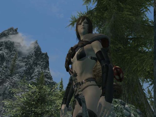 kur-daisho:  再構築しつつ色々modを入れなおしてます。 ENBも『HRK ENB TWO』を導入してみましたが、こんな感じなのかしらん？ 導入に成功しているかどうかいま一つ不安な黒大将でございます。