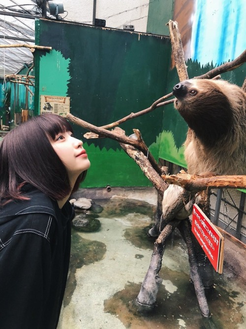 monowasure:  吉田凜音(@rinne1211)さん | Twitter