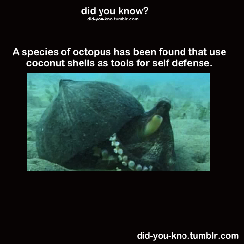 did-you-kno:  Source