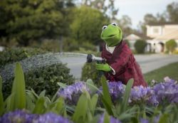 onlyalittlelion:  cosmictuesdays:  Because everyone needs a photo of Kermit the Frog watering his garden in a luxurious smoking jacket.  I had no idea I needed that until now 