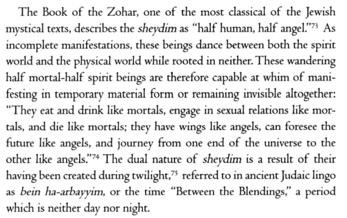 pipistrellus:Rabbi Gershon Winkler exploring the concept of sheydim in Magic of the Ordinary