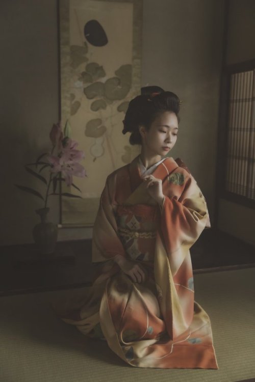 tanuki-kimono:Refined “old Japan” vibe