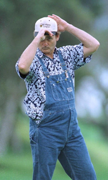 cutbythemoon:  retrokarrots:  3-olives-and-a-pickle:  BFM  @cutbythemoon … bill! 😍  Love!  BFM.   Chive On!