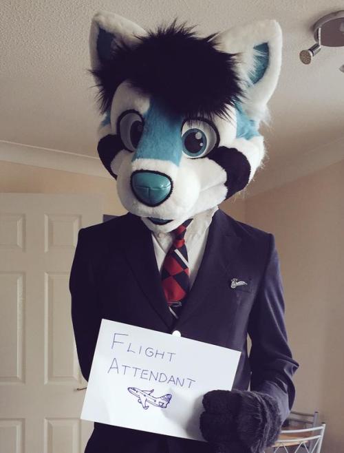 kitzuhuskybutt: furballthefurry: Furries and their occupation (reddit)[Full album] I love this o uo