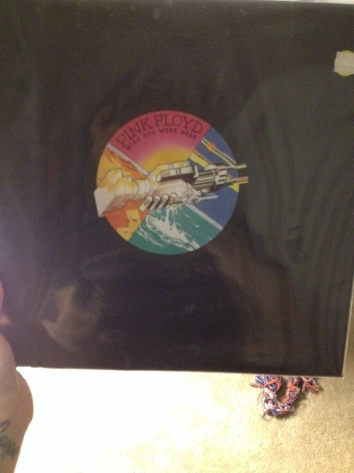 nursecupcake69:  My very first vinyl and it happened to be Pink Floyd :) stoked! Now I need dark side of the moon vinyl ! 