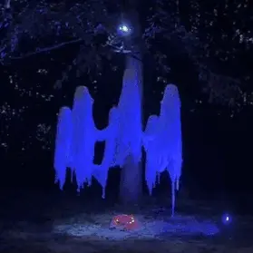 👻👻👻