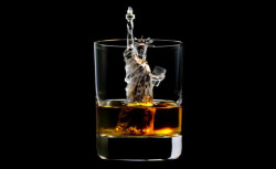 mymodernmet:   3D on the Rocks is the latest ad campaign for Japanese liquor company Suntory, a brand who specializes in whiskey. They collaborated with advertising agency TBWA\Hakuhodo to create the world’s first 3D-printed ice cube sculptures.