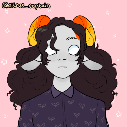 Citrus Captain - Made a picrew!...