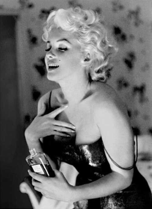 Sex honey–rider:Marilyn Monroe photographed pictures