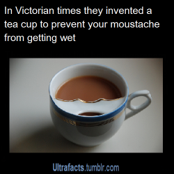 abbyrosemay:  durnesque-esque:  ultrafacts:  Source For more facts follow Ultrafacts  I passed up a chance to buy one of these in a thrift store and I STRONGLY regret it.  P.S. The purpose of these cups was less for preventing the ‘stache getting wet