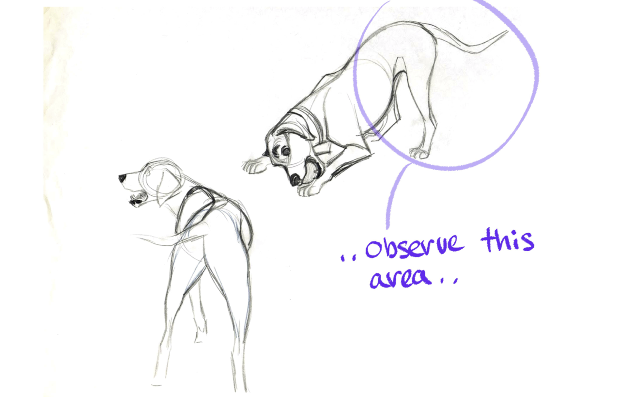 shiyoonkim:  This is part of a lecture I gave for the leadership to analyze the importance