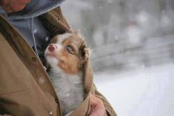 awwww-cute:  Thank you! 