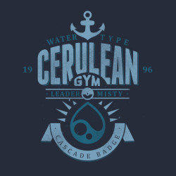 pixalry:  The Pokemon Gym Collection - Created by Azafran This series is on sale right now over at Pop Up Tee, go check it out!