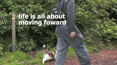 runsonpizza:brooke-being:hailstorrm:huffingtonpost:Blind Cat Who Loves Hiking Turned This Man Into A