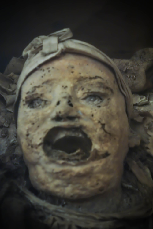 allthesaintsyoushouldknow:  The Carmelite Monastery of San Ángel Mexico City, Mexico  I’m currently working on a full piece for Atlas Obscura on theses guys but I couldn’t wait to share the photos. These are naturally occurring mummies on display