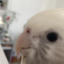 icouldsleepforeverrr