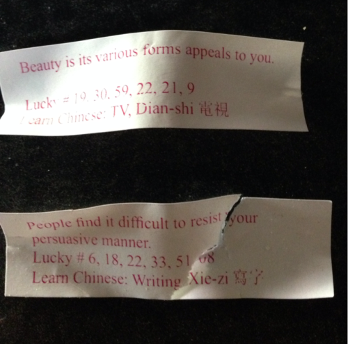 paradife-loft and I went out for lunch and got fortunes for Finrod and Curufin.
