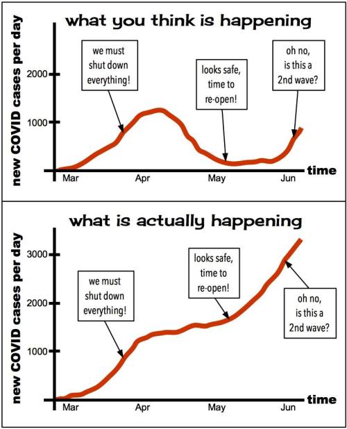 thetrekkiehasthephonebox: viking369: thesociologicalcinema: What you think is happening vs. what