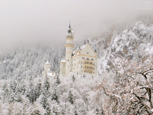 windflowerfairy:Dreamy Neuschwanstein Castle