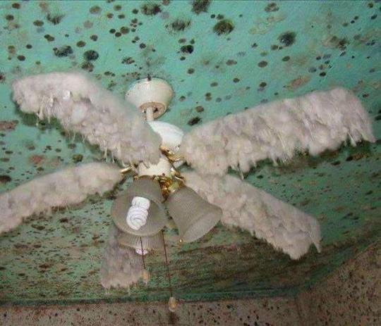images-that-are-only-cursed: