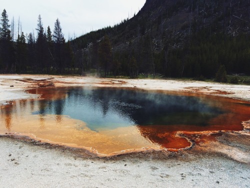 coffee-n-mtns: Yellowstone National Park
