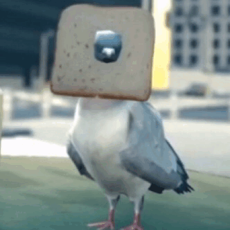 Bread Pigeon!