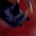 boinkyspoinky:JESSE. JESSE YOU WORTHLESS IMBECILE. STOP POURING OIL ON YOURSELF JESSE. YOU CAN’T FLY IN THE RAIN BECAUSE YOU COVERED YOURSELF IN OIL JESSE. IT’S SCIENTIFICALLY IMPOS-