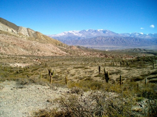 Paisaje altiplano (alrededor de 3500 m), Salta, 2007.