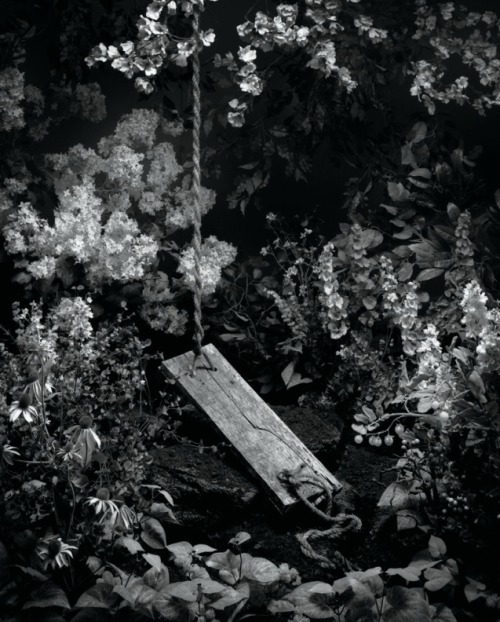 gramigna: http://jeffbark.com/  from ID series