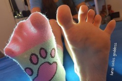 luna-soles-goddess:  👇👣 … #feet #feetstagram #wrinkledsoles #selfie #sexysoles #soles #instafeet #socken #toes #wornsocks #softsoles  #füße #füsse #femdom #footqueen #nylons #footfetishnation #footfetishcommunity #teenfeet #footfetishworld