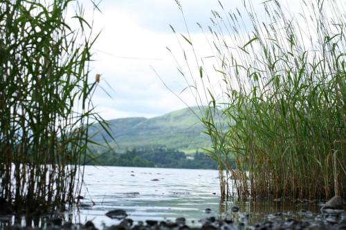 travelthisworld:  A beautiful loch in the Highlands of Scotland submitted by: terriblyserious, thanks! 