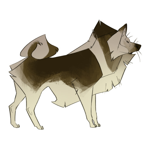 coconutmilkyway: i drew BIG FLUFFY MALAMUTES because they are BIG FLUFFY BABIES