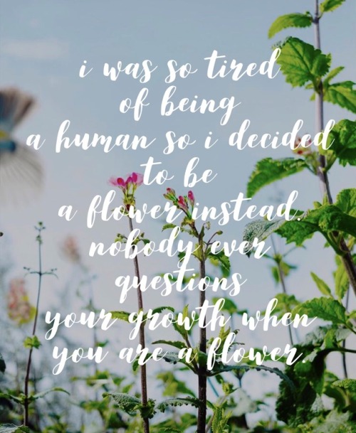 lovelustquotes:“I was so tired of being a human so I decided to be a flower instead. Nobody ev