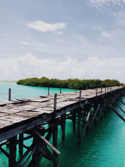 theadventurechild:  Jungle/tropical blog