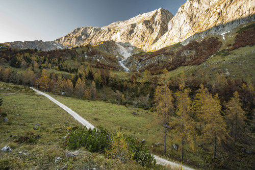 staudnhuckn:Alpine pasturesBerchtesgaden Alps, Tennengau, Salzburg, Austria