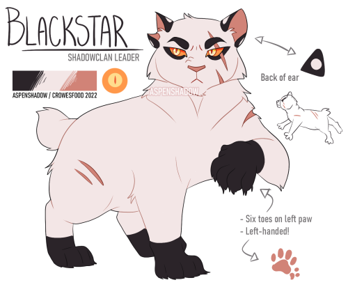 Blackstar (Blackfoot; Blackpaw; Blackkit)Starting off 2022 with one of my favorite characters hehe [