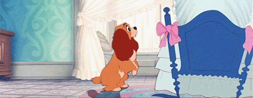 waltdisneydaily:Lady and the Tramp (1955)
