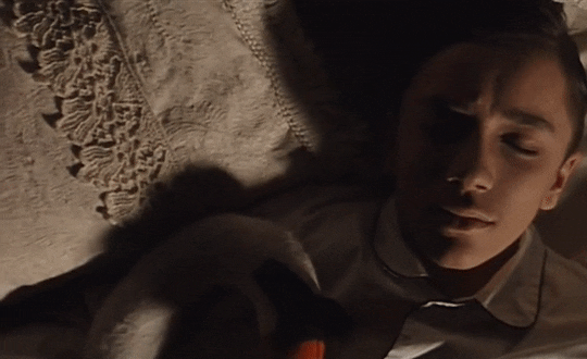 7e09ee19443bfc276a0e63fa7c06258f1e5fcddd.gifv