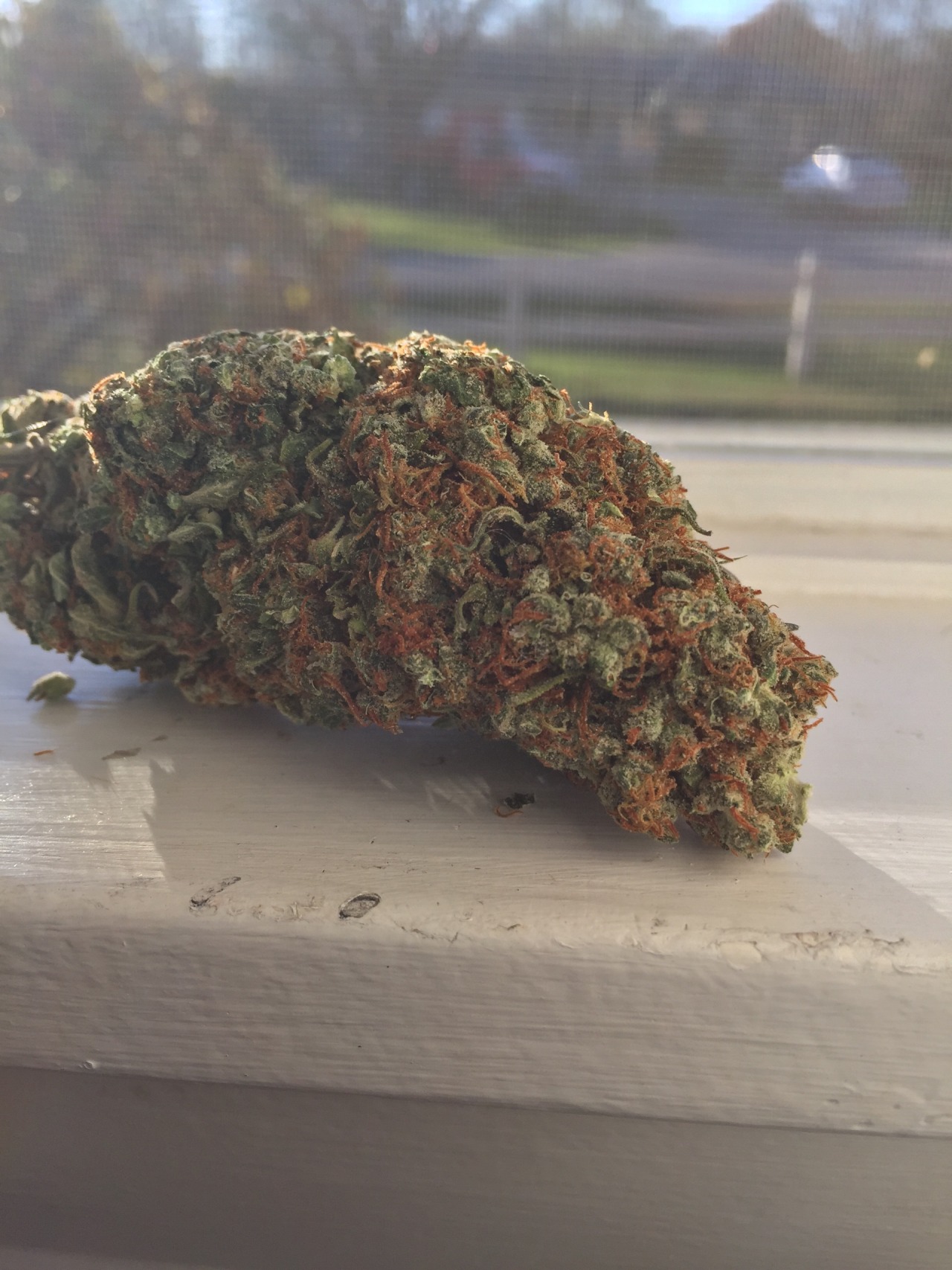 stoner-kat:  theycalmewilson:  5 gram nug of Headband 😘💚  God damn😍 