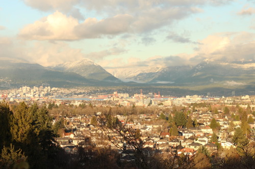 View from Bloedel Conservatory - gorgeous mountains in the background (Vancouver, BC)
