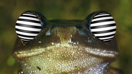 Harrymonet