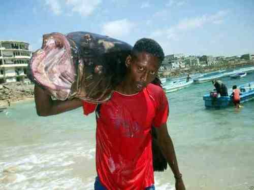 You Been Lied To: 7 Things You May Not Know About Somali ‘Pirates’Captian Phillips,