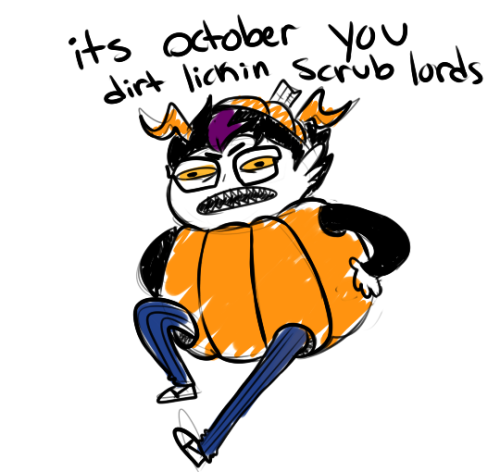 caligulasaquariums:caligulasaquariums:the pumpkin king has arrivedthat time of year again folks