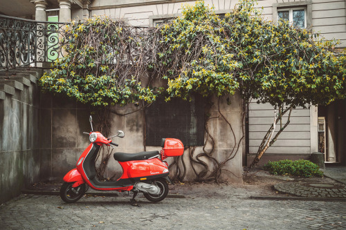 Red Things | Berlin (II)