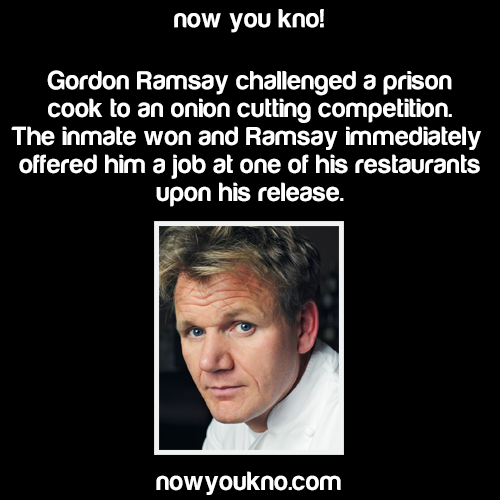 bestofnowyoukno:
“ nowyoukno:
“ Now You Know (Source)
”
Now You Know Chef Ramsay hired Horst.
”