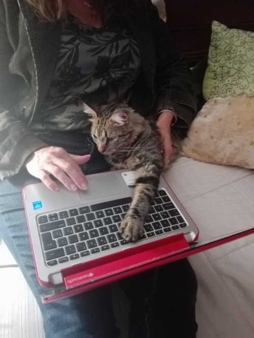 thebeanandbelashow:Working hard on our blog.
