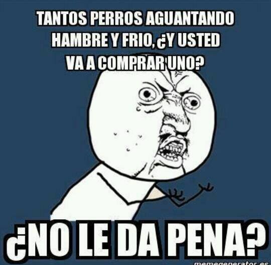 conciencia-animal:  Encuentranos en:  Facebook: http://on.fb.me/1bQmkUL Twitter:
